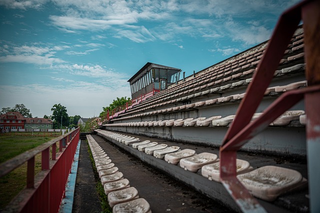 這些規則旨 這些規則旨