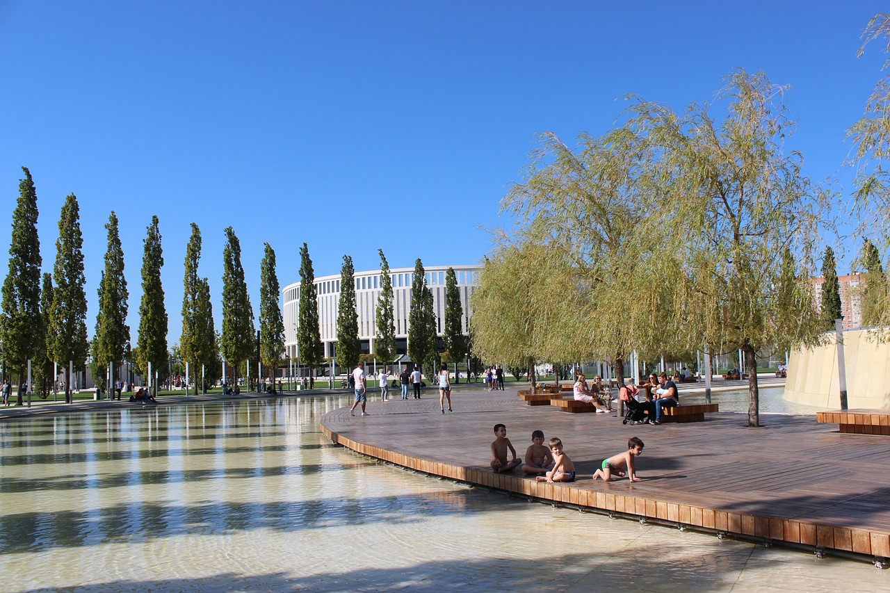 伟大球员的 伟大球员的