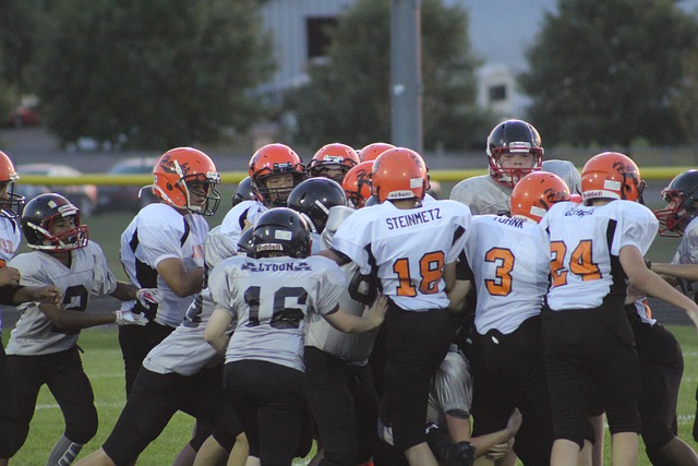 近年的研究 近年的研究