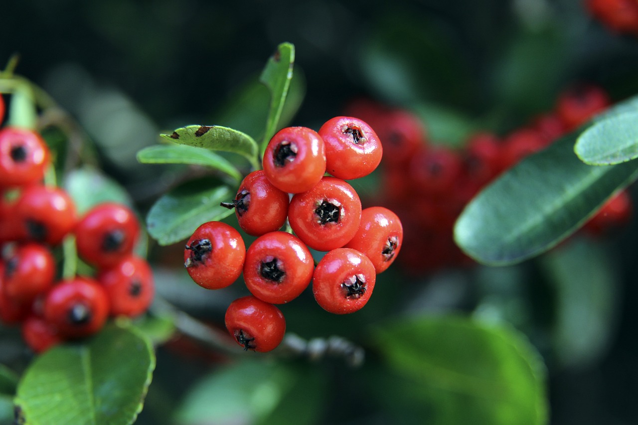 丰臻：广州队球员阿卜杜瓦哈普加盟陕西联合.